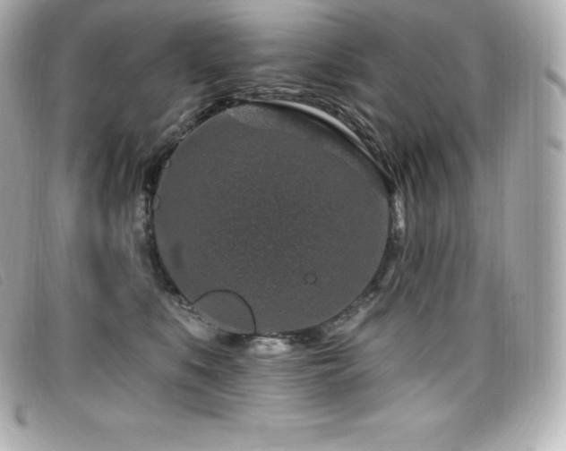 X0000099480519200805091611