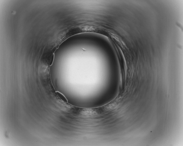 X0000099480521200805091611