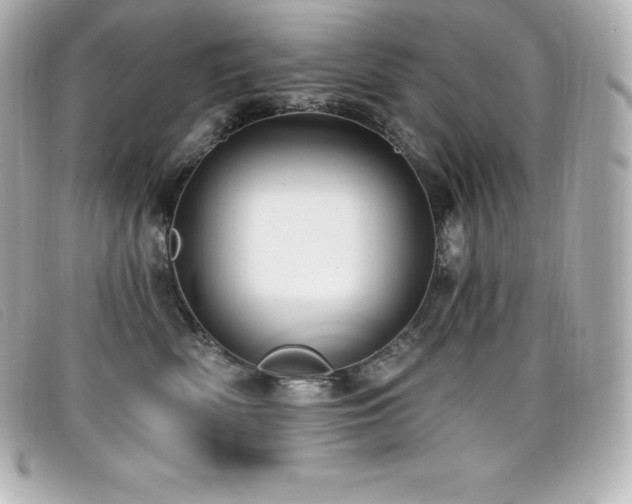 X0000099480522200805091611