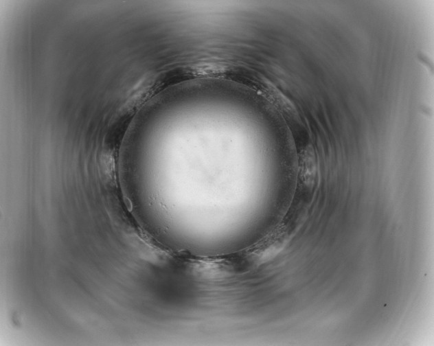 X0000099480523200805091611