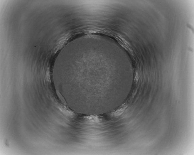X0000099480524200805091611