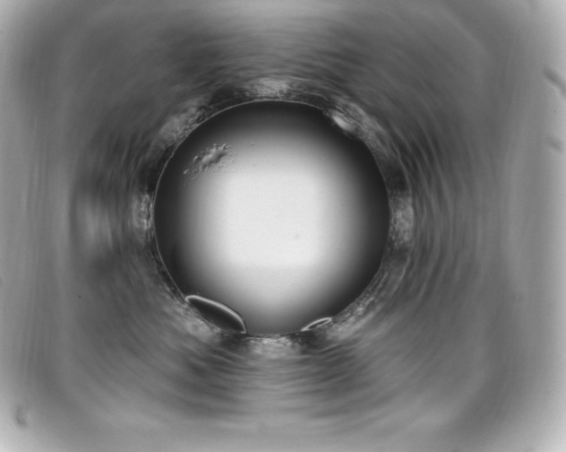 X0000099480525200805091611