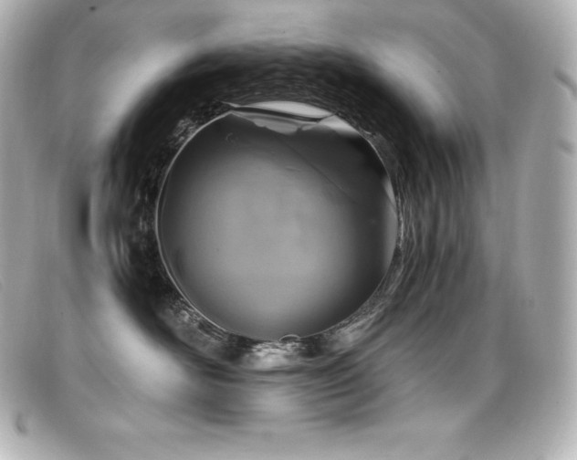 X0000099480526200805091611
