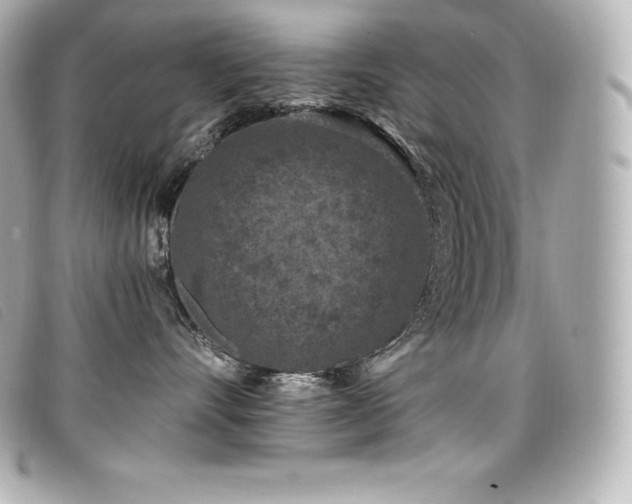 X0000099480528200805091611