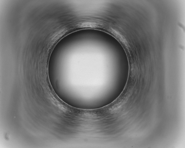X0000099480529200805091610