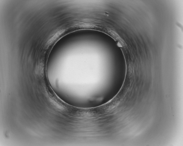 X0000099480533200805091611