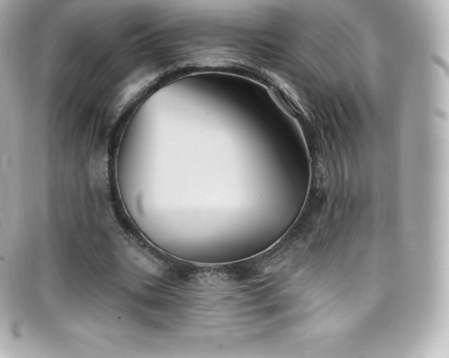 X0000099480535200805091611