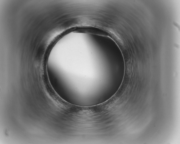 X0000099480536200805091611