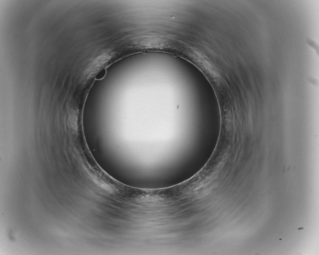 X0000099480537200805091611