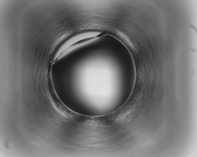 X0000099480538200805091611