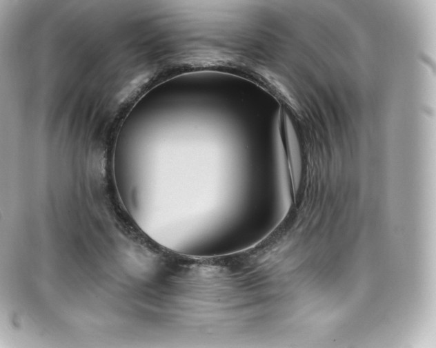 X0000099480539200805091611