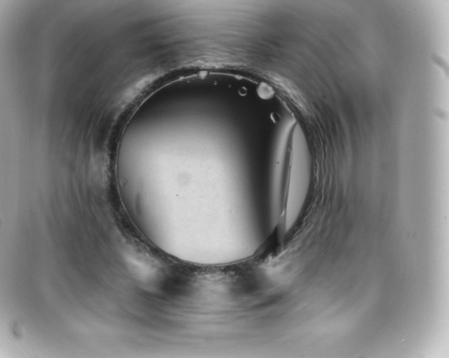 X0000099480540200805091611