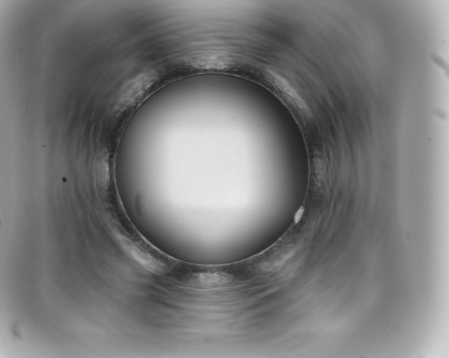 X0000099480541200805091611