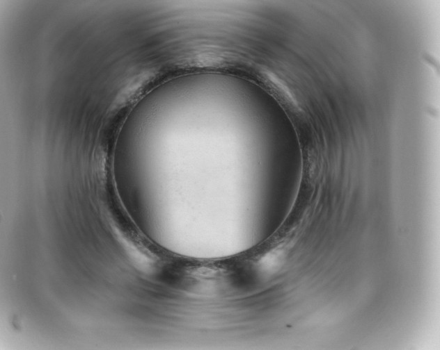 X0000099480542200805091611