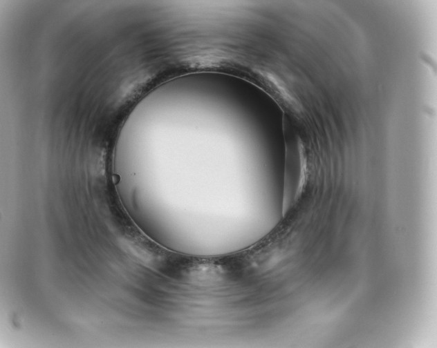 X0000099480543200805091611