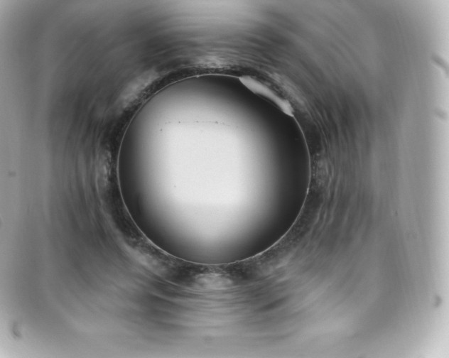 X0000099480544200805091611