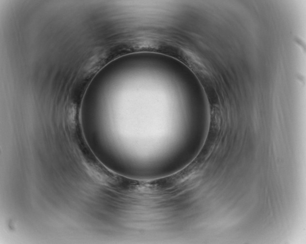 X0000099480550200805091611