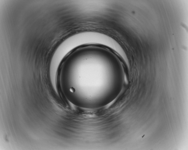 X0000099480552200805091611