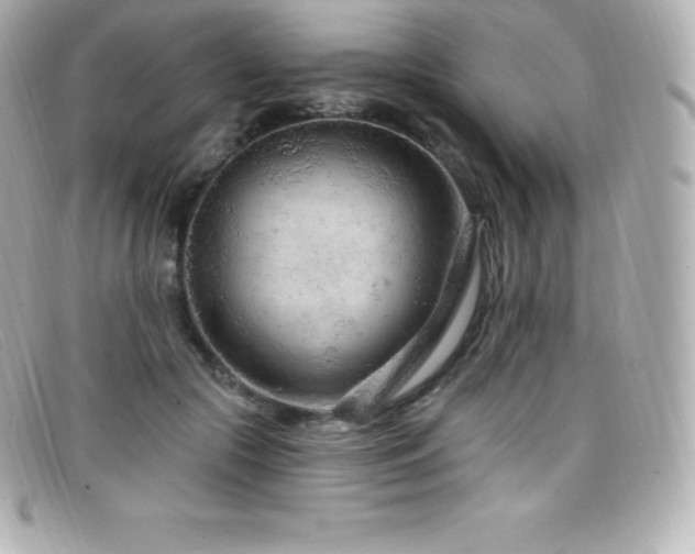 X0000099480553200805091611