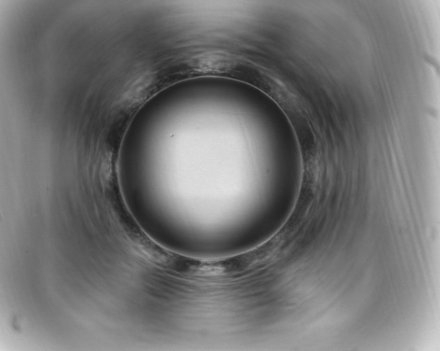 X0000099480554200805091611