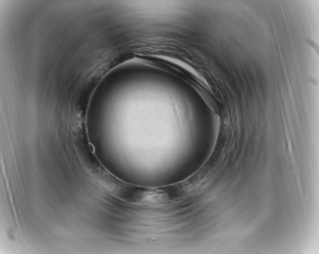 X0000099480555200805091611