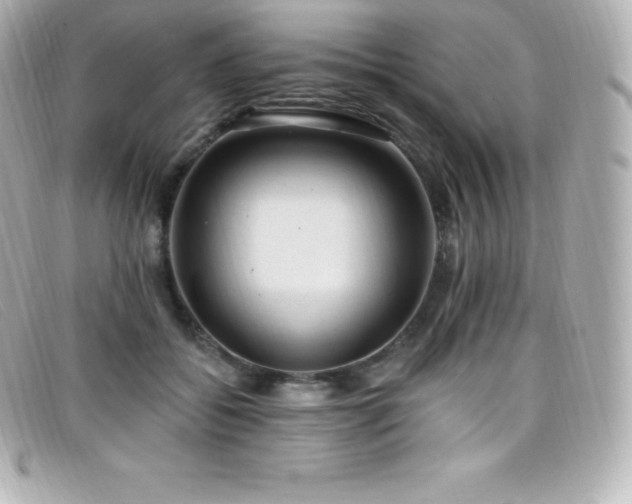 X0000099480556200805091611