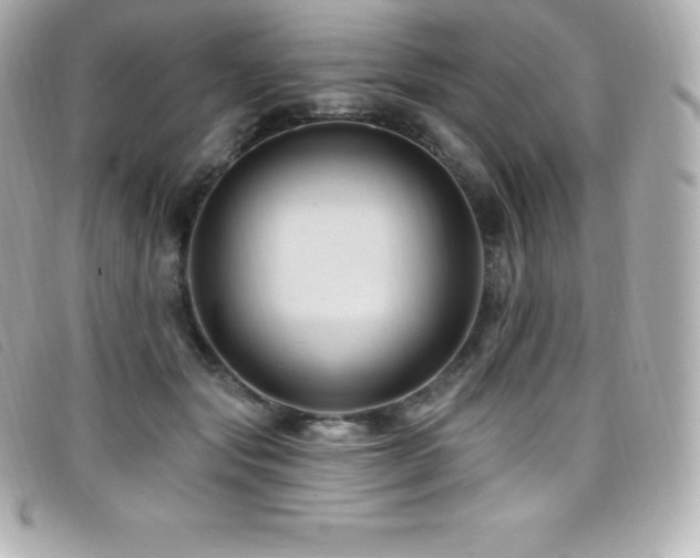 X0000099480557200805091611