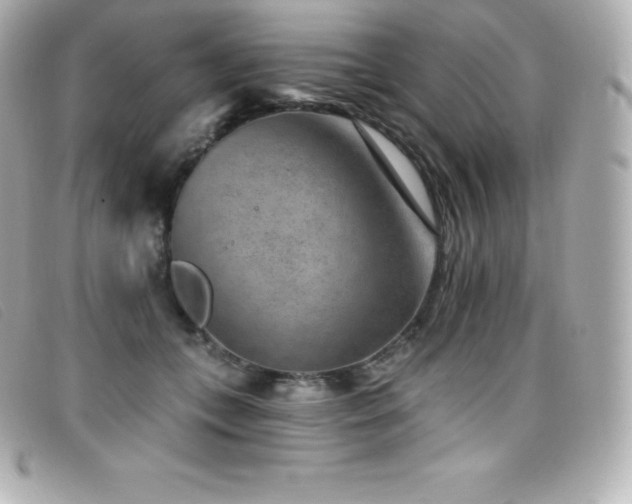 X0000099480559200805091611