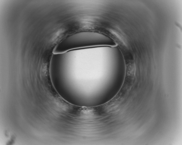 X0000099480560200805091611