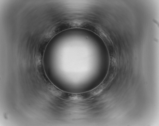 X0000099480561200805091611