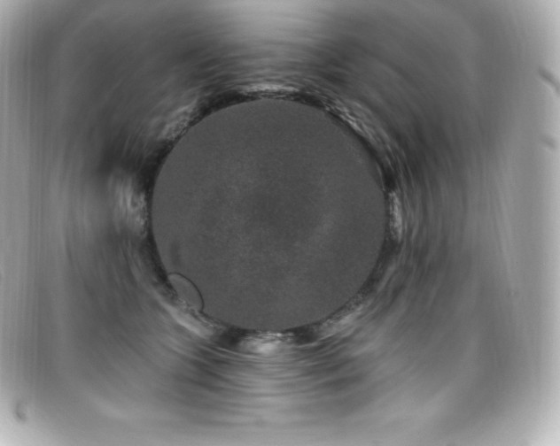 X0000099480563200805091611
