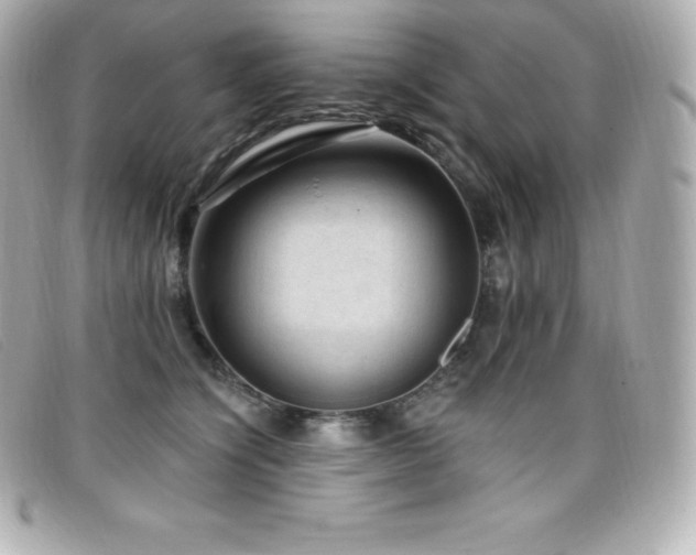 X0000099480564200805091611