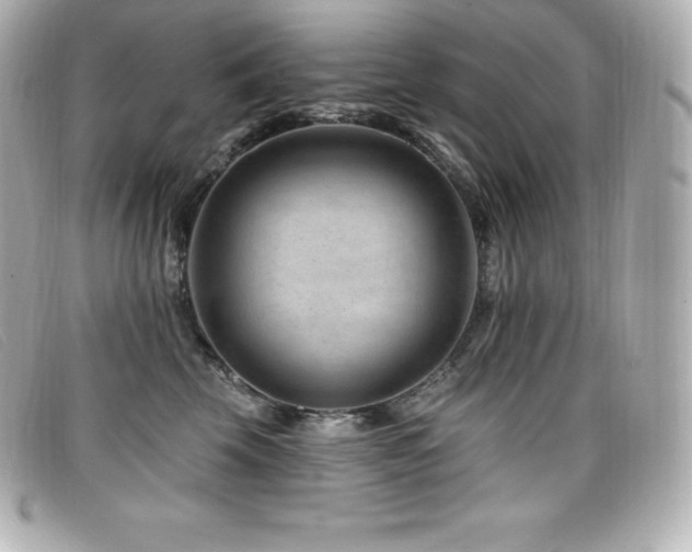 X0000099480569200805091611