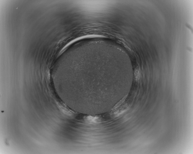 X0000099480570200805091611