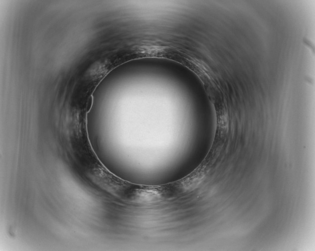 X0000099480572200805091611