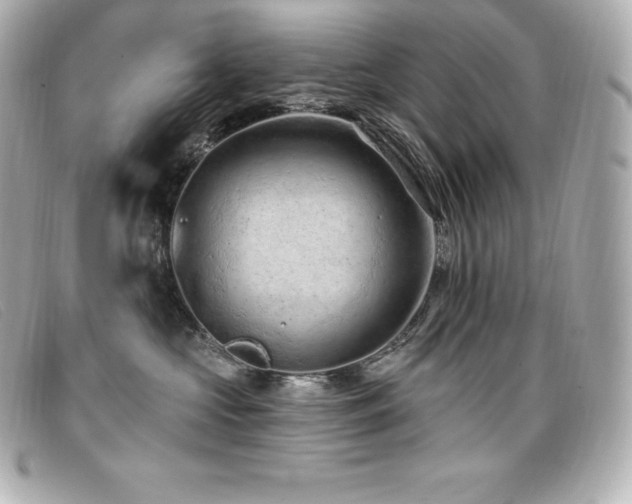 X0000099480573200805091611
