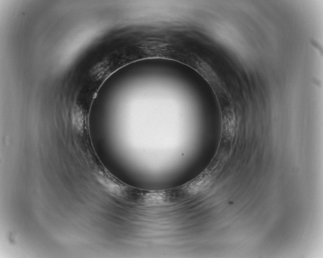 X0000099480574200805091611