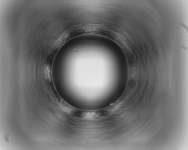 X0000099480575200805091611