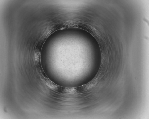 X0000099480576200805091611