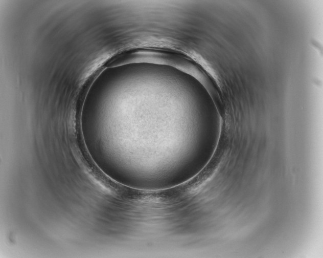 X0000099480581200805091610