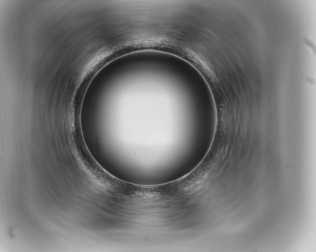 X0000099480582200805091610