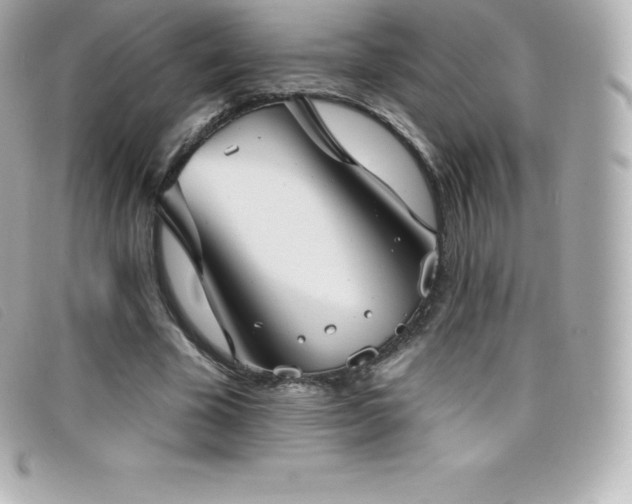 X0000099480585200805091610