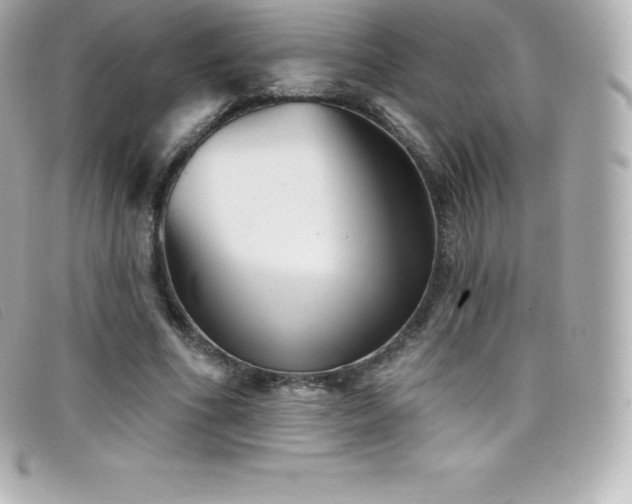 X0000099480586200805091610