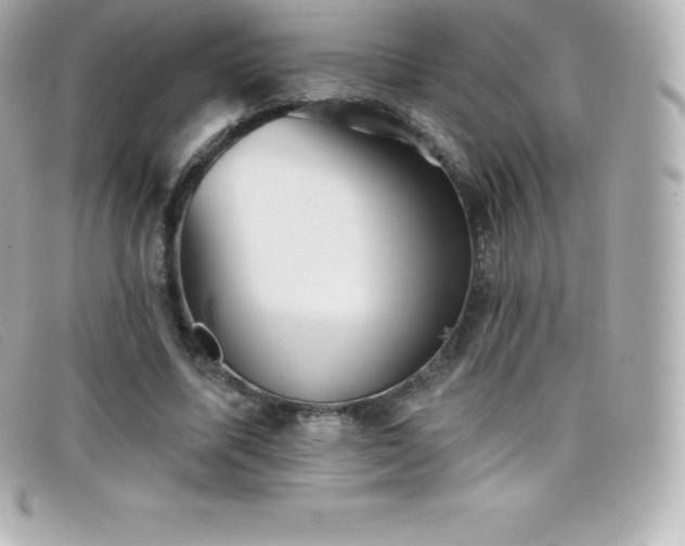 X0000099480587200805091610