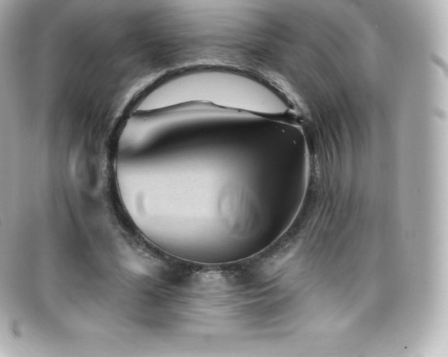 X0000099480588200805091610