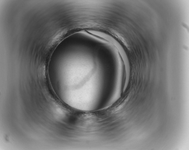 X0000099480589200805091610