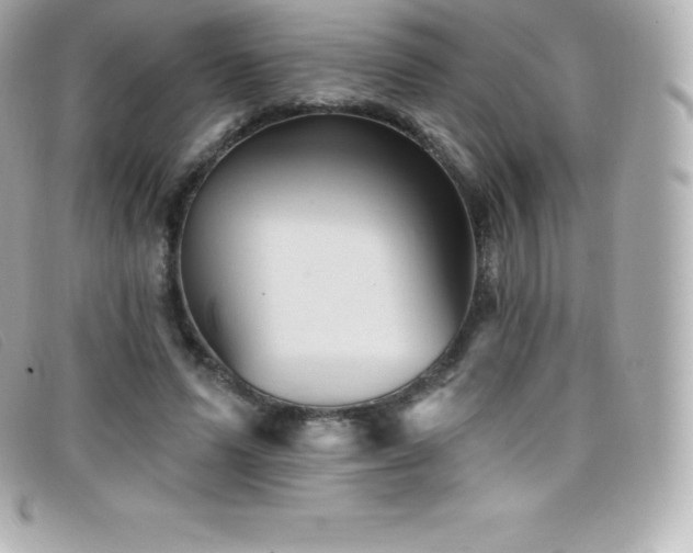 X0000099480591200805091610