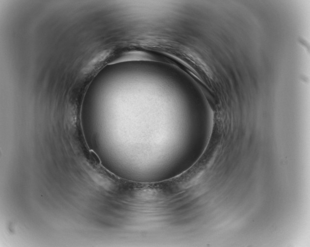 X0000099480593200805091610