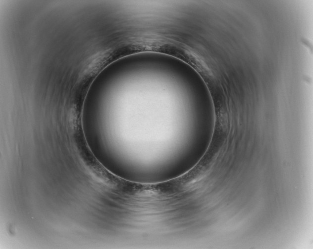 X0000099480594200805091610