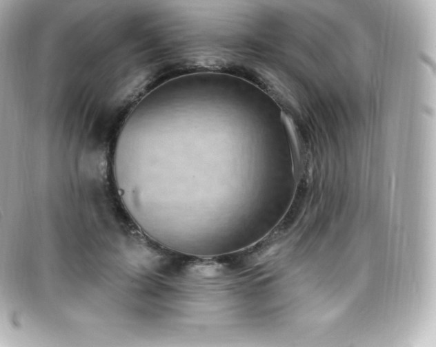 X0000099480595200805091610
